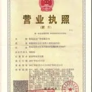 China Business License