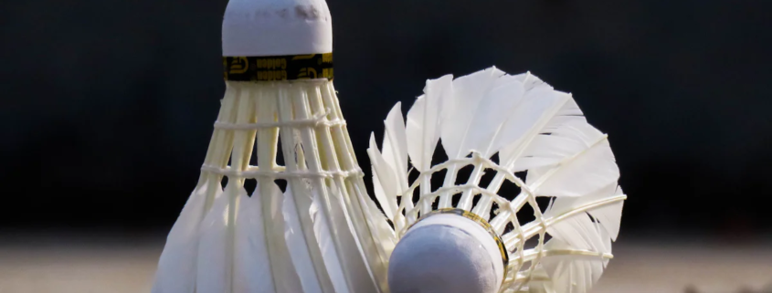 Tips for Choosing Quality Shuttlecock Suppliers in China